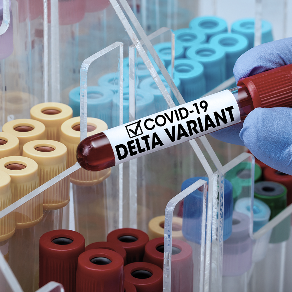 EXECUTIVE HEALTH PROFILE B